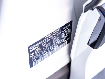 2026 Hyundai IONIQ 9 Performance Calligraphy